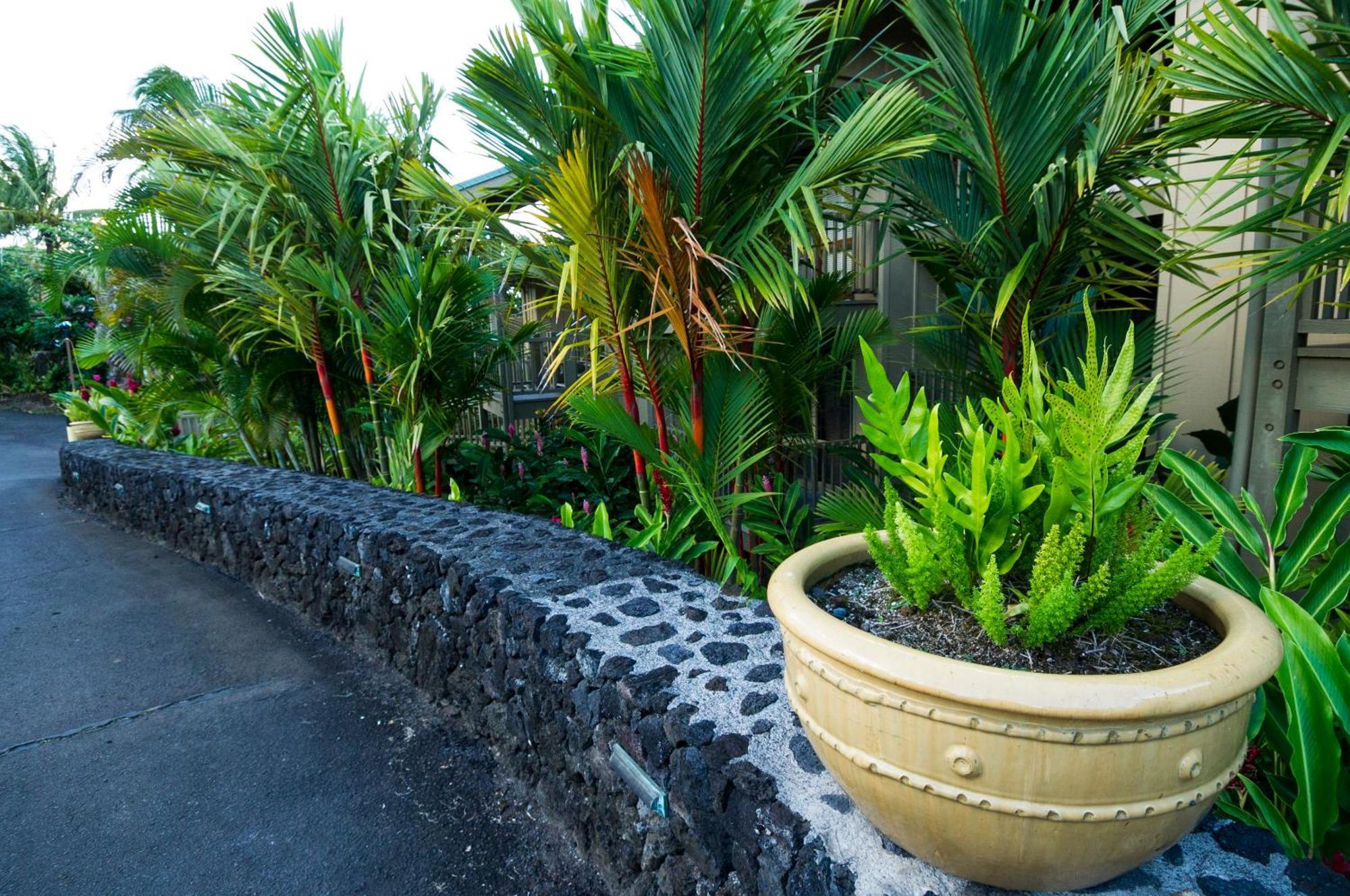 Kai Maui - #107 Kama Partial Oceanview 1 Br Apartamento *